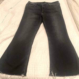 Black Orchid black jeans, kick flare, size 31